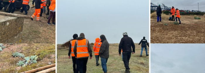 Port of Felixstowe joins volunteers at Landguard Nature Reserve 