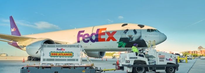 FedEx transports two giant pandas from Chengdu to Atlanta 