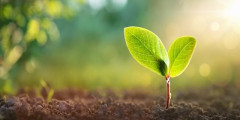 Logistics sector showing "green shoots of recovery" says Logistics UK
